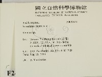 韌革菌屬藏品圖，第2張