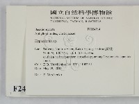絲齒菌屬藏品圖，第2張