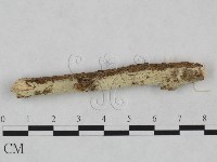 登錄號:F0024916藏品圖，第3張