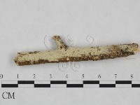 登錄號:F0024916藏品圖，第1張