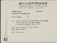 館號:F0024918藏品圖，第2張