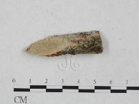 館號:F0024918藏品圖，第1張