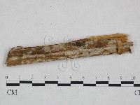 登錄號:F0024919藏品圖，第1張