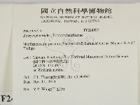 登錄號:F0024920藏品圖，第2張