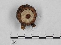 登錄號:F0024920藏品圖，第1張