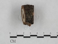 登錄號:F0024920藏品圖，第3張