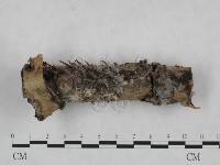 登錄號:F0024922藏品圖，第1張