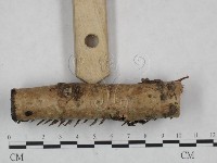 登錄號:F0024922藏品圖，第4張