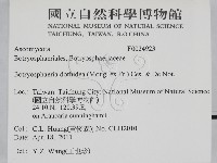登錄號:F0024923藏品圖，第2張