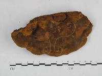 桑黃藏品圖，第3張