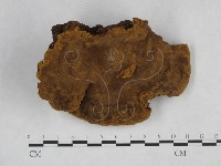 桑黃藏品圖，第1張