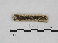 登錄號:F0024929藏品圖，第1張