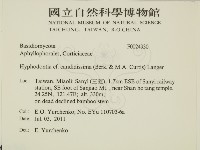 登錄號:F0024930藏品圖，第2張