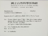 登錄號:F0024932藏品圖，第2張