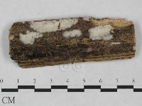 登錄號:F0024932藏品圖，第1張