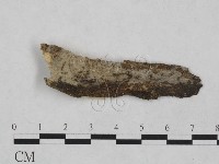 登錄號:F0024938藏品圖，第1張