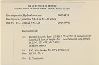 登錄號:F0024939藏品圖，第3張