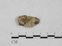 登錄號:F0024941藏品圖，第1張