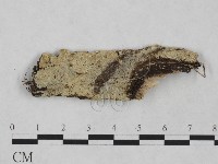 登錄號:F0024944藏品圖，第1張