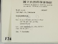 登錄號:F0024947藏品圖，第2張