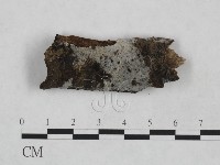 登錄號:F0024947藏品圖，第1張