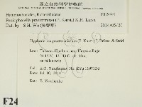 登錄號:F0024949藏品圖，第2張