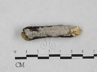 登錄號:F0024949藏品圖，第1張