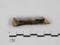 登錄號:F0024949藏品圖，第3張