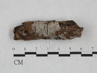 登錄號:F0024950藏品圖，第1張