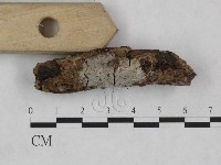 登錄號:F0024950藏品圖，第3張