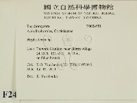 絲皮菌屬藏品圖，第2張