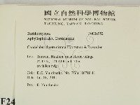 館號:F0024952藏品圖，第2張
