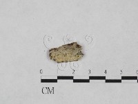 登錄號:F0024954藏品圖，第1張
