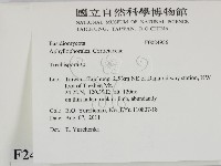 粗糙孢菌屬藏品圖，第2張