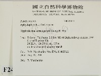 登錄號:F0024957藏品圖，第2張