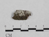 登錄號:F0024957藏品圖，第1張