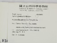 館號:F0024958藏品圖，第2張