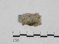 館號:F0024958藏品圖，第1張