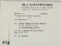 刺革菌屬藏品圖，第2張