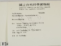 刺革菌屬藏品圖，第2張