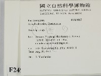 登錄號:F0024967藏品圖，第2張