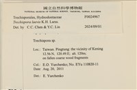 登錄號:F0024967藏品圖，第3張