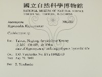 登錄號:F0024969藏品圖，第2張