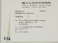 登錄號:F0024970藏品圖，第2張