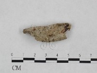 登錄號:F0024970藏品圖，第1張