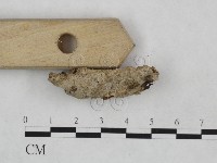 登錄號:F0024970藏品圖，第3張