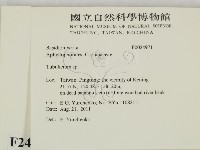 登錄號:F0024971藏品圖，第2張