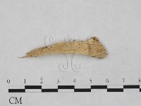 登錄號:F0024971藏品圖，第3張