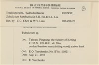 登錄號:F0024971藏品圖，第4張