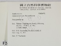 擬筍殼菌屬藏品圖，第2張